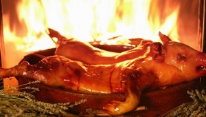 cochinillo-asado-horno-maridaje-gourmet-y-mas